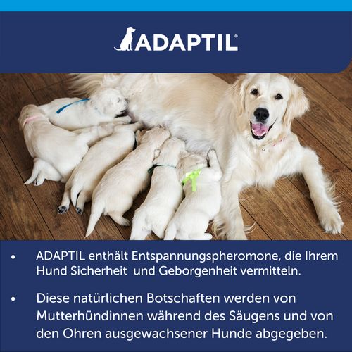 ADAPTIL Calm Halsband - Anti Stress Erziehungshalsband für kleine Hunde