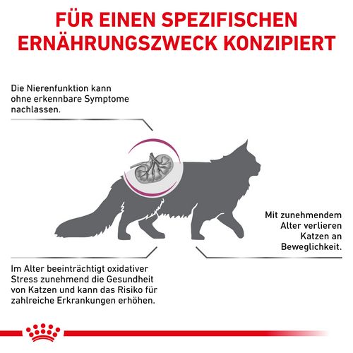Royal Canin Veterinary EARLY RENAL Trockenfutter für Katzen 3,5 g