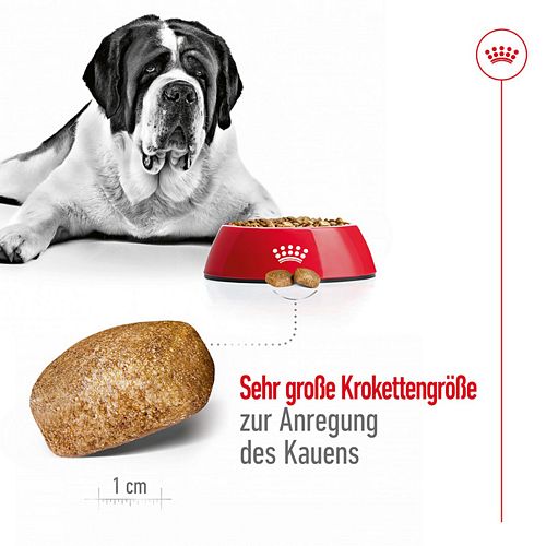 Royal Canin GIANT Adult Trockenfutter für sehr große Hunde 4kg