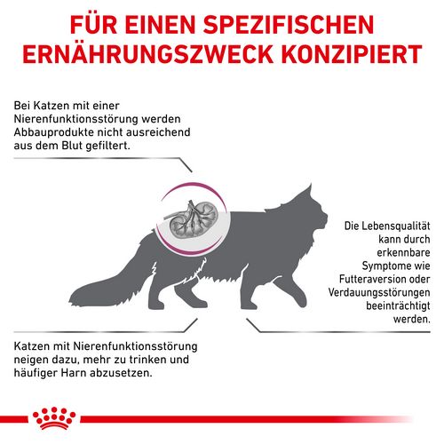 Royal Canin Veterinary RENAL Trockenfutter für Katzen 4 kg
