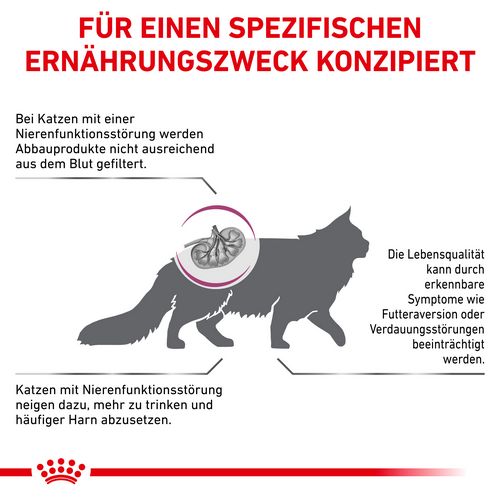 Royal Canin Veterinary RENAL Trockenfutter für Katzen 400 g