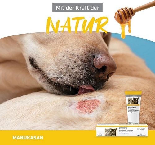 alfavet - ManukaSan - Honigsalbe Wunde