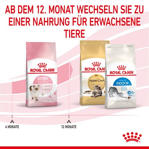 Royal Canin KITTEN Trockenfutter für Kätzchen bis zum 12. Monat 2 kg