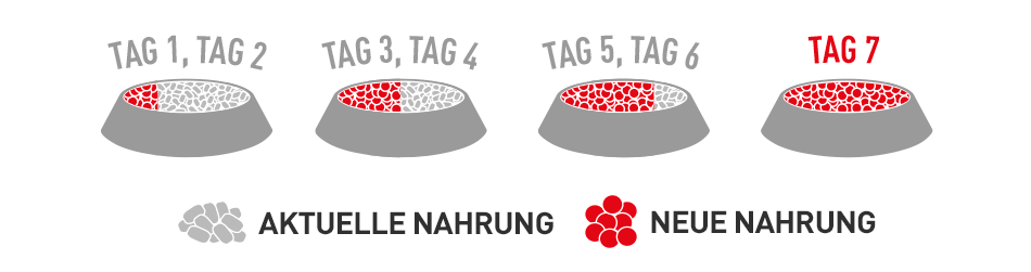 Nahrung Nahrung