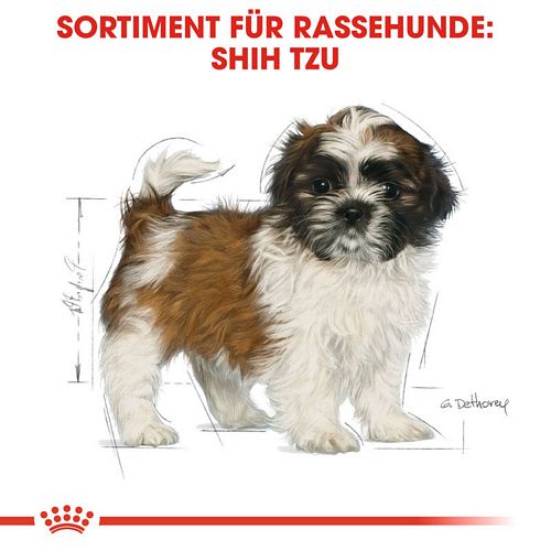 Royal Canin Shih Tzu Puppy Welpenfutter trocken