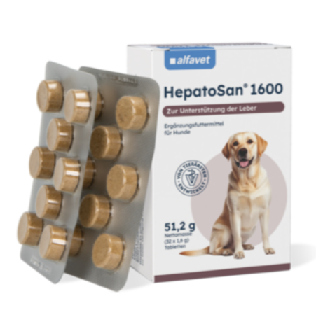 alfavet HepatoSan - 1600 - 1 x 120 Tabletten