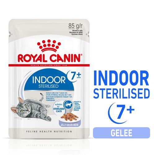 Royal Canin INDOOR 7+ Sterilised in Gelee Nassfutter für Wohnungskatzen ab 7 Jahren