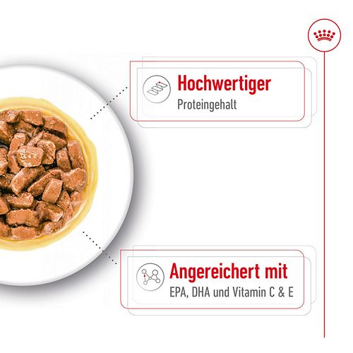 Royal Canin MEDIUM AGEING 10+ Nassfutter Detail