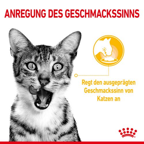 Royal Canin SENSORY Smell Taste Feel Nassfutter Multipack in Soße für wählerische Katzen 12 x 85 g