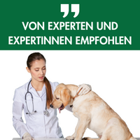 Formula Z Hund 4