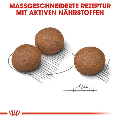 Royal Canin DIGESTIVE CARE MEDIUM Trockenfutter Kroketten
