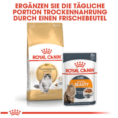 Royal Canin Norwegian Forest Cat Adult Trockenfutter für Norwegische Waldkatzen