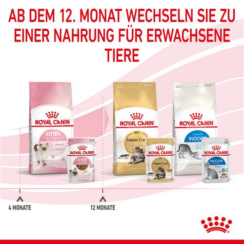 ROYAL CANIN KITTEN Nassfutter in Soße für Kätzchen 12 x 85 g