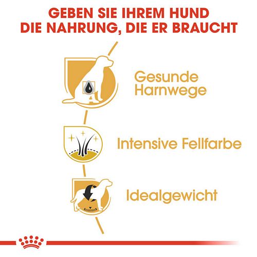 Royal Canin Miniature Schnauzer Adult Hundefutter trocken Vorteile