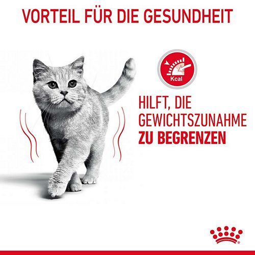 Royal Canin LIGHT WEIGHT in Gelee Nassfutter für zu Übergewicht neigenden Katzen