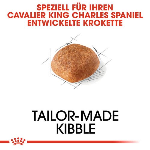 Royal Canin Cavalier King Charles Adult Hundefutter trocken Krokette