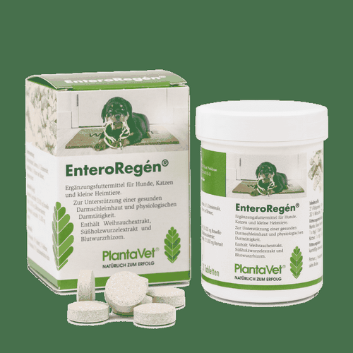 PlantaVet EnteroRegen