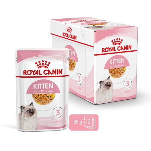 Royal Canin KITTEN Nassfutter in Gelee für Kätzchen 12 x 85 g