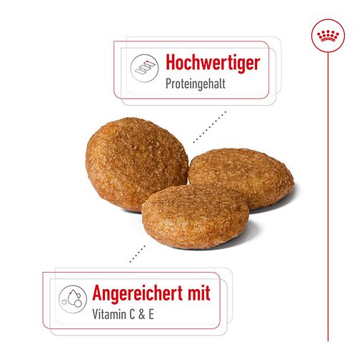 Royal Canin MEDIUM Adult Trockenfutter für mittelgroße Hunde 15kg