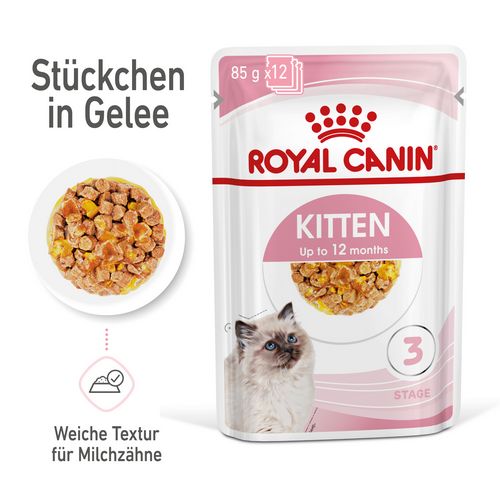 Royal Canin KITTEN Nassfutter in Gelee für Kätzchen 12 x 85 g