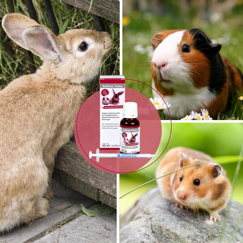 alfavet - RodiCare PULMO