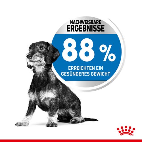 Royal Canin LIGHT WEIGHT CARE MINI Trockenfutter für zu Übergewicht neigenden Hunden