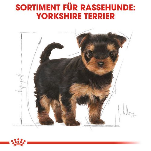 Royal Canin Yorkshire Terrier Puppy Welpenfutter trocken