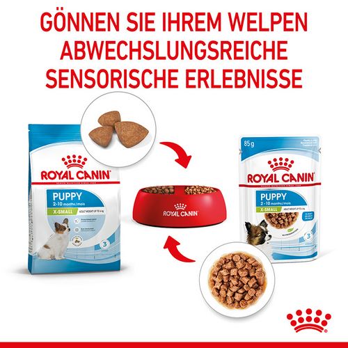 Royal Canin X-SMALL PUPPY - Nassfutter für Hundewelpen sehr kleiner Hunderassen - 12 x 85 g