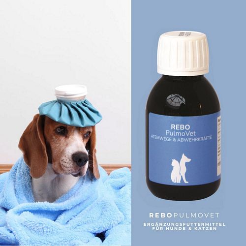 reboVet - REBO-PULMO-Vet - 100 ml