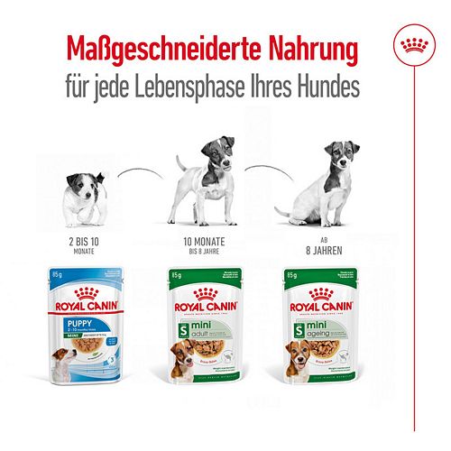 Royal Canin MINI AGEING 12+ - Nassfutter HUND Lebensphasen