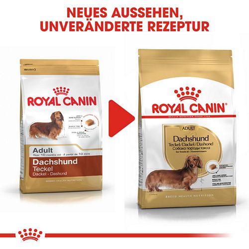 Royal Canin Dachshund Adult Trockenfutter für Dackel