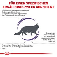 ROYAL CANIN Expert ADULT Trockenfutter für Katzen Anforderungen