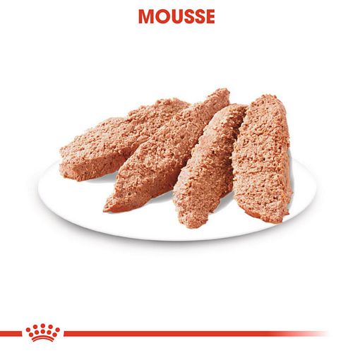 Royal Canin DERMACOMFORT Nassfutter Mousse