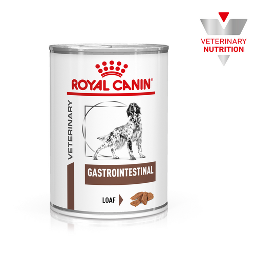 Royal Canin GASTROINTESTINAL Mousse Nassfutter für Hunde - 12 x 400 g