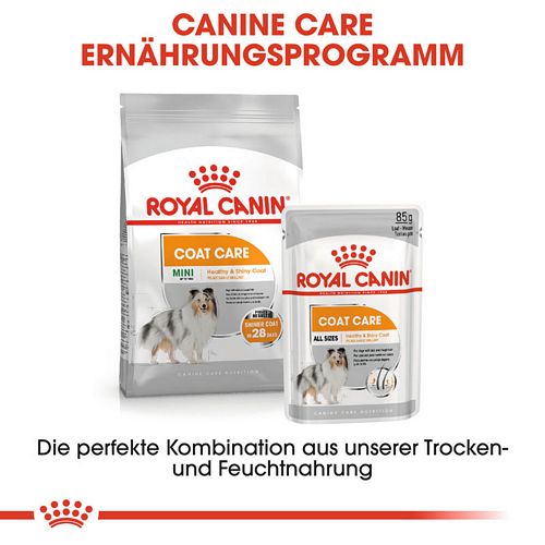 Royal Canin COAT CARE Nassfutter Kombi
