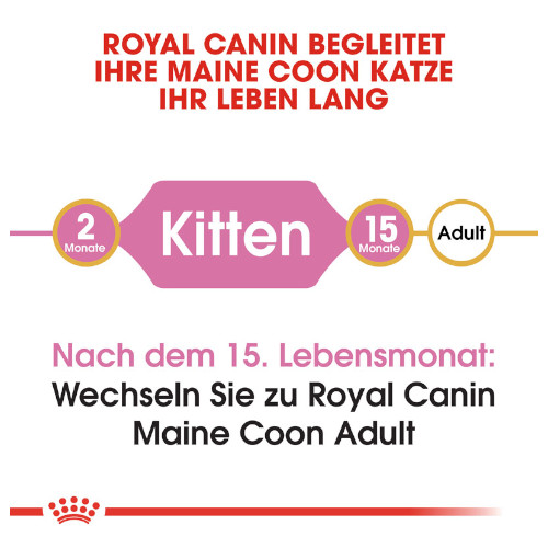 Royal Canin Maine Coon Trockenfutter für Kätzchen