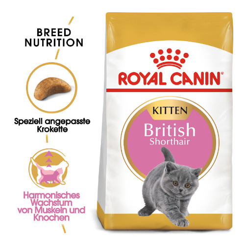 Royal Canin British Shorthair Kittenfutter trocken für Kätzchen