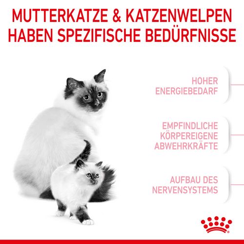 Royal Canin MOTHER & BABYCAT Katzenfutter für tragende Katzen und Kitten 400 g