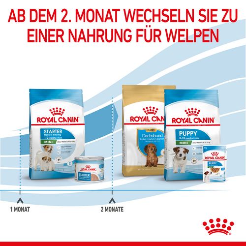Royal Canin MINI Starter Trockenfutter für tragende Hündin und Welpen kleiner Rassen von der 3. - 8. Woche 4 kg