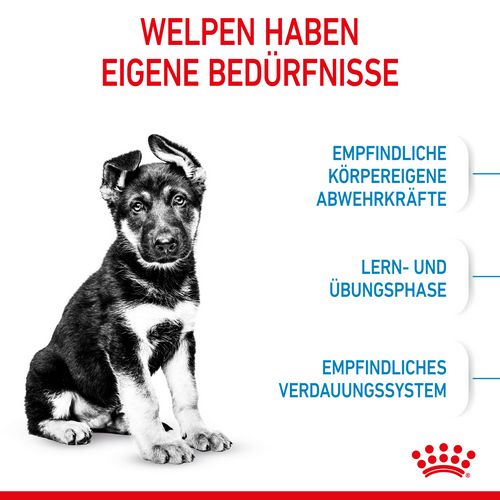 Royal Canin MAXI Puppy Trockenfutter für Welpen großer Rassen 10 kg