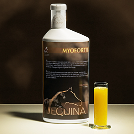 Equina Myofortil 1000 ml