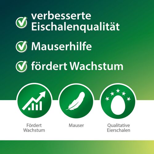 Röhnfried - HENNENGOLD - 500 ml