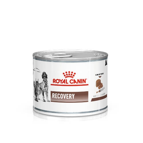 Royal Canin Recovery Canine & Feline Nassfutter
