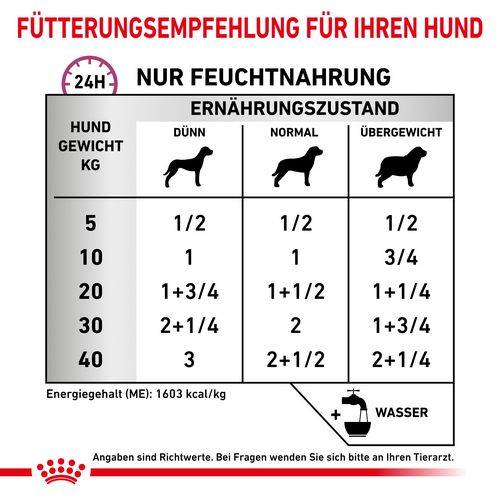 Royal Canin Veterinary RENAL SPECIAL Nassfutter Fütterung