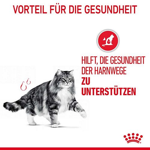 Royal Canin Urinary Care in Soße