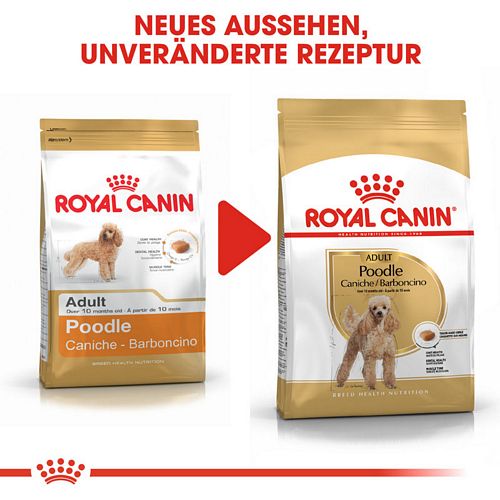 Royal Canin Poodle Adult Trockenfutter