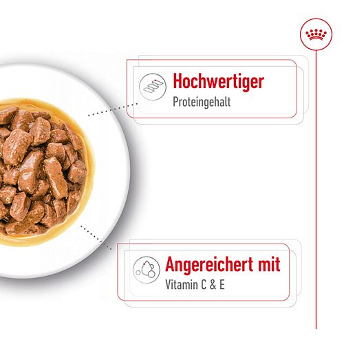 Royal Canin MEDIUM Adult Nassfutter auf Teller