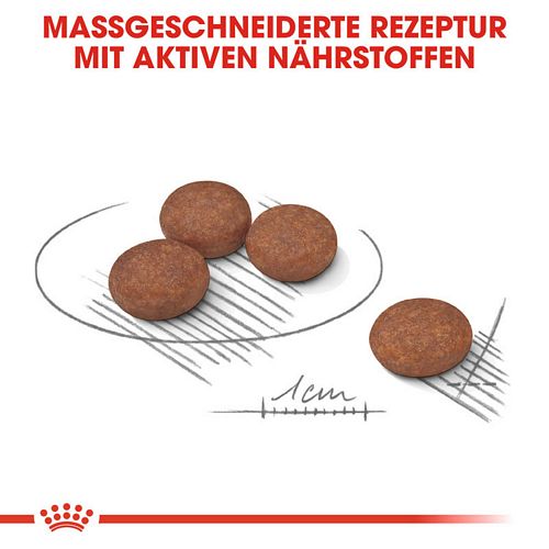 Royal Canin DIGESTIVE CARE MINI Trockenfutter für kleine Hunde Kroketten