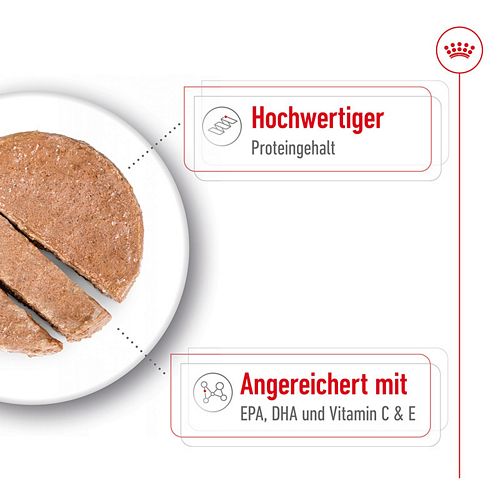 Royal Canin MEDIUM AGEING 7+ - Nassfutter HUND auf Teller