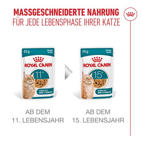 Royal Canin Ageing 11+ Jelly Nassfutter Katze Lebensphase